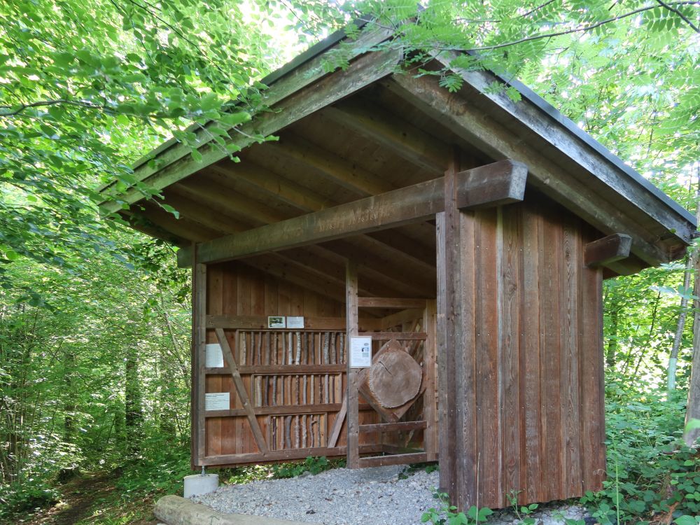 Ausstellungs-Pavillon