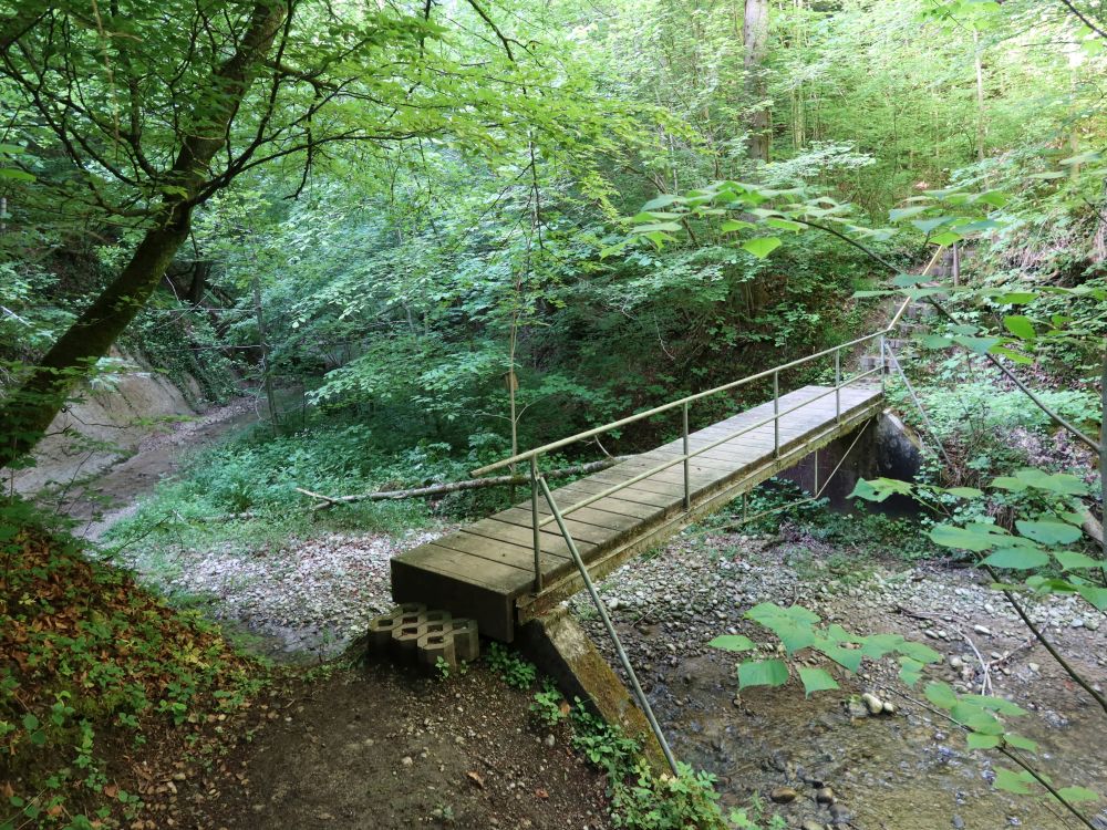 Holzsteg am Tobelweg