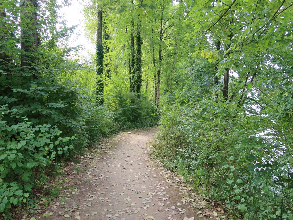 Uferweg