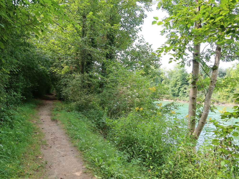 Uferweg