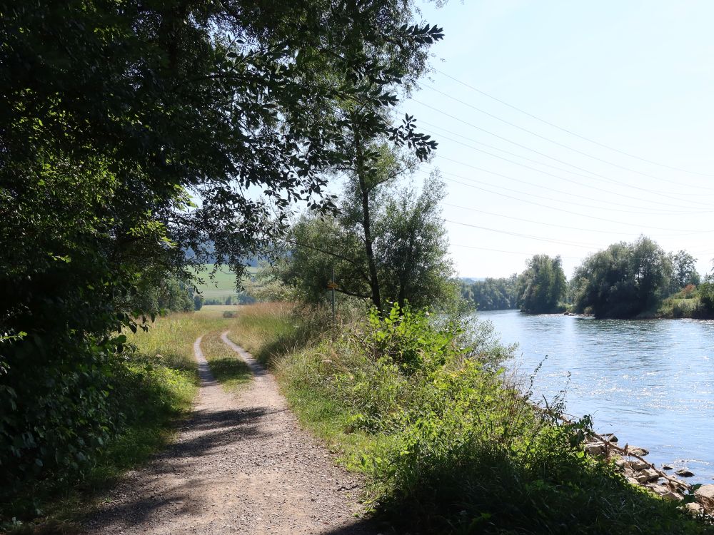 Weg am Reussufer