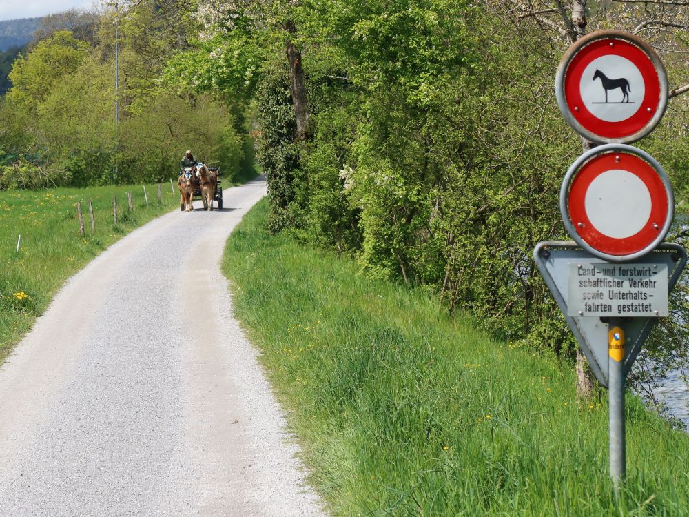 Pferdekutsche und Pferdeverbot