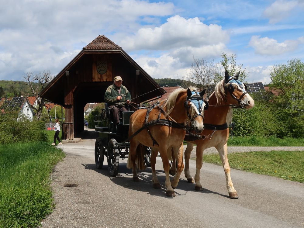 Pferdekutsche und Holzbrücke