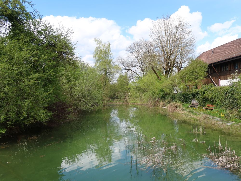 Teich in Hochfelden