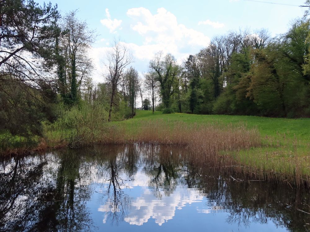 Teich im Lochrain