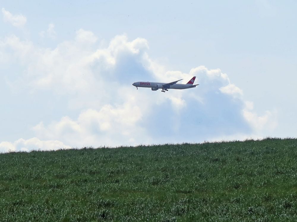 Flugzeug im Landeanflug