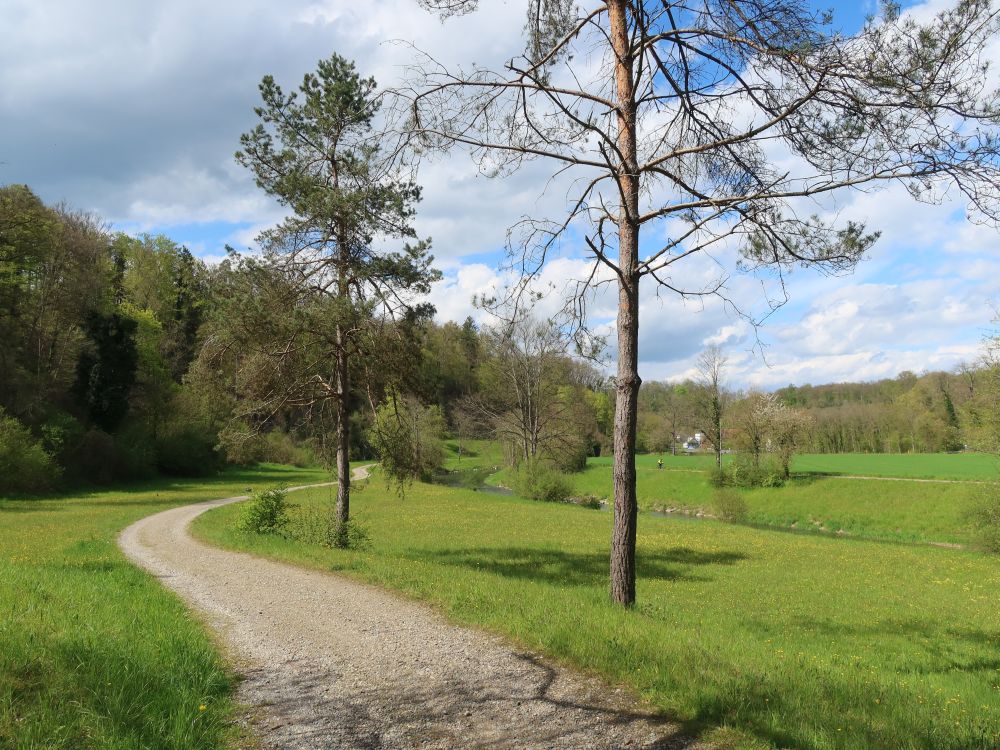 Hinter Glatthaldenrain