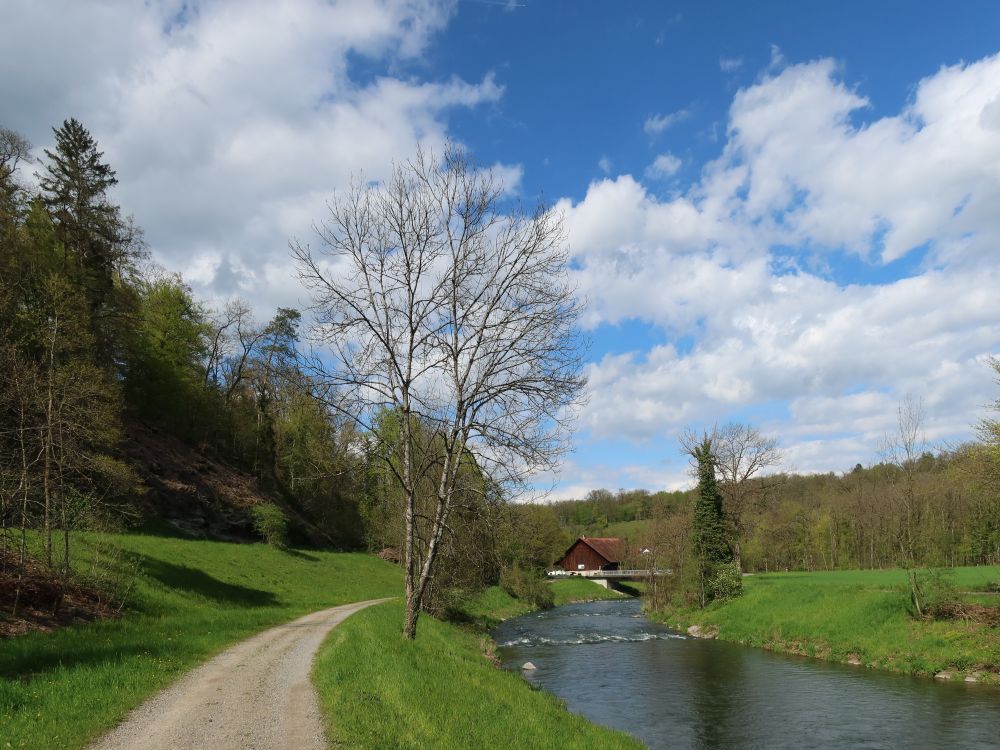 Uferweg an der Glatt