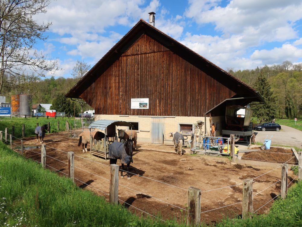 Pferdestall bei Herrenwis