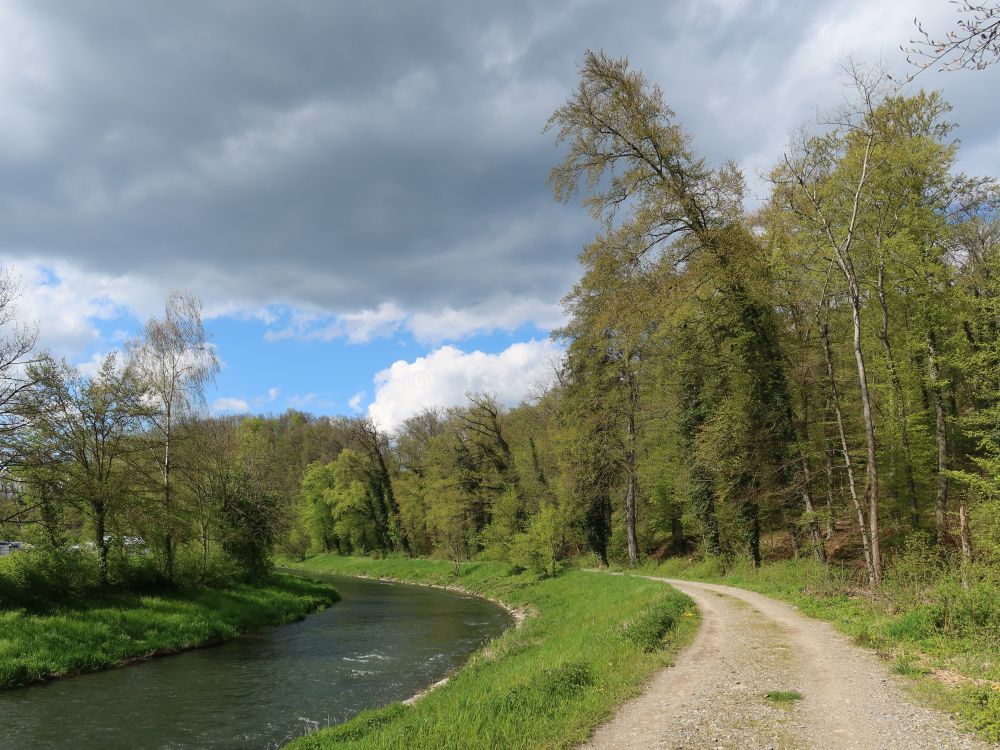 Uferweg an der Glatt