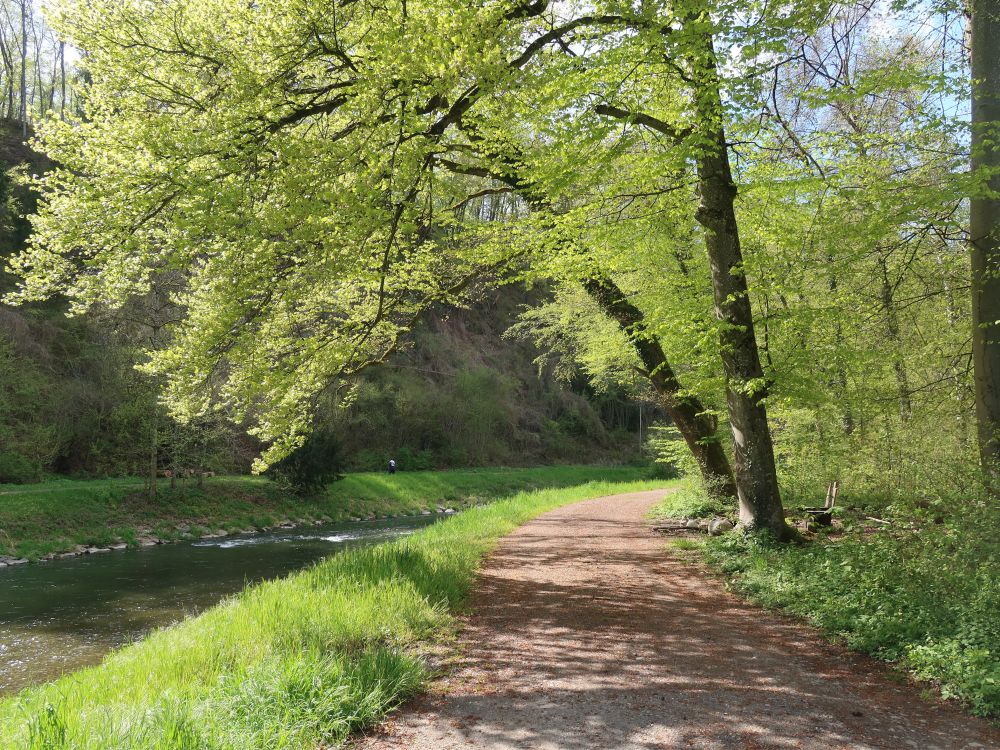 Uferweg an der Glatt