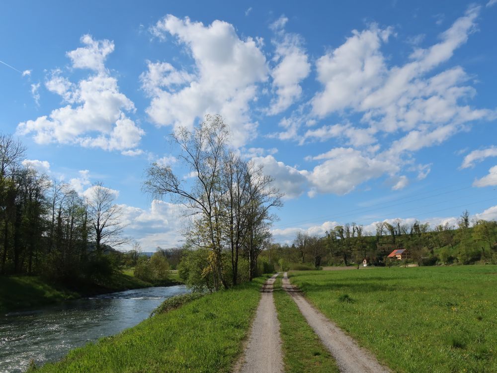 Uferweg an der Glatt