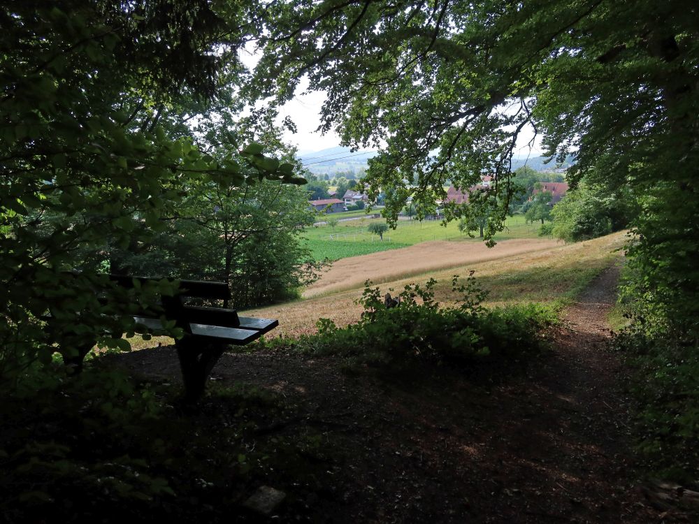 Sitzbank oberhalb Holzrüti