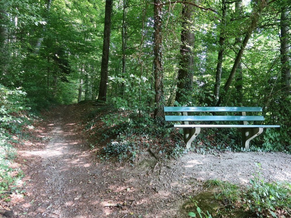 Sitzbank am Waldrand