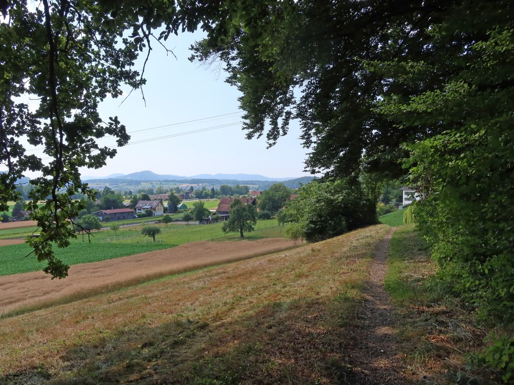 Blick Richtung Holzrüti