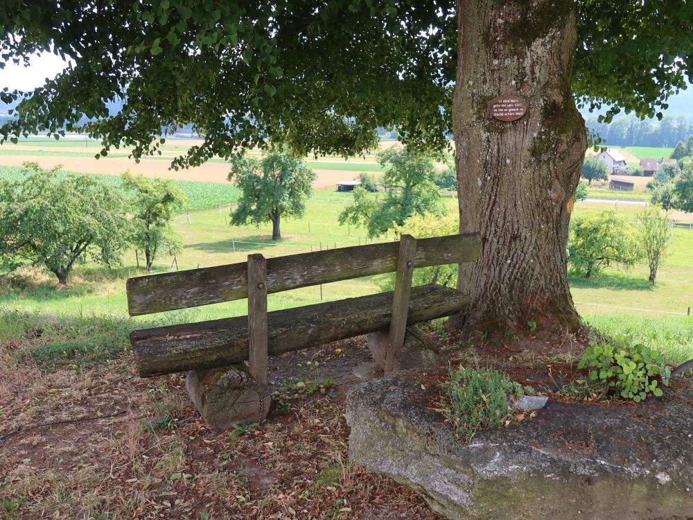 Sitzbank unter der Linde