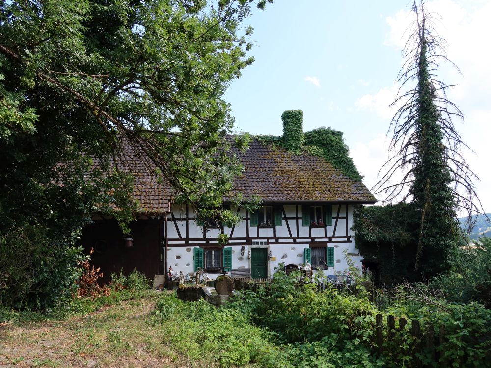 altes Bauernhaus