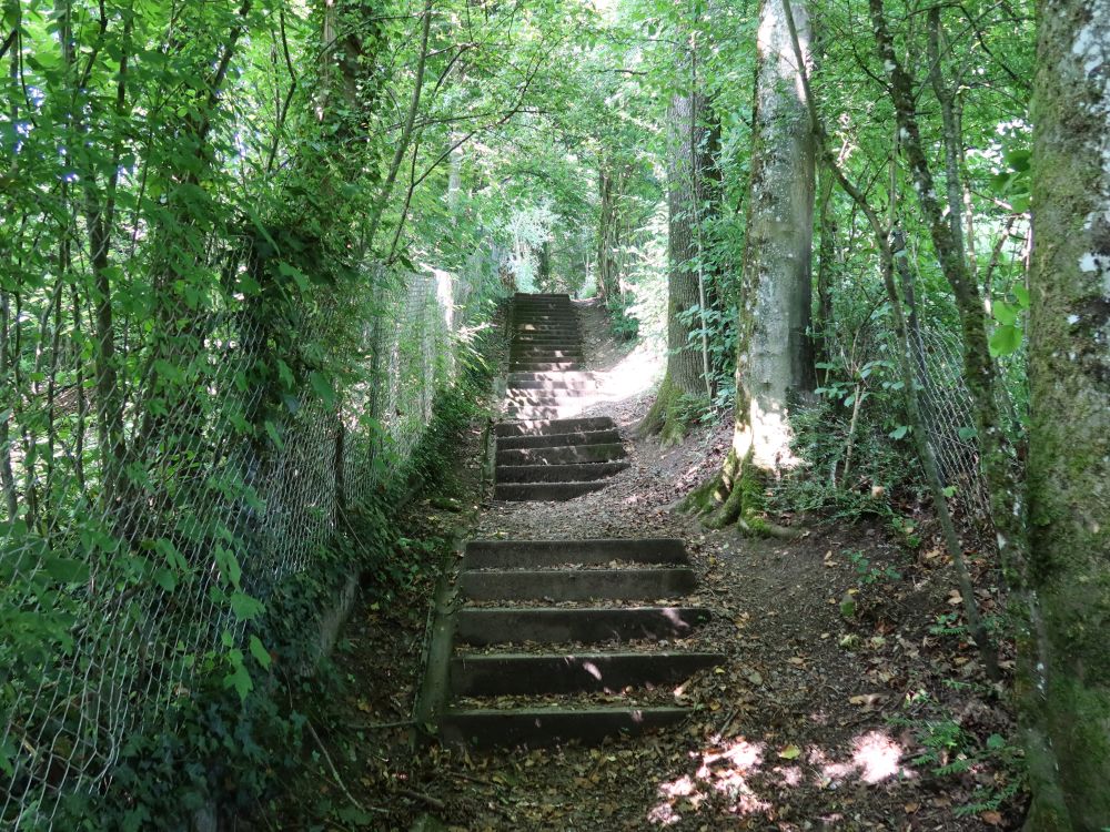 Treppe