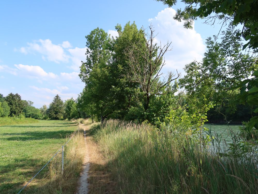 Pfad an der Reuss