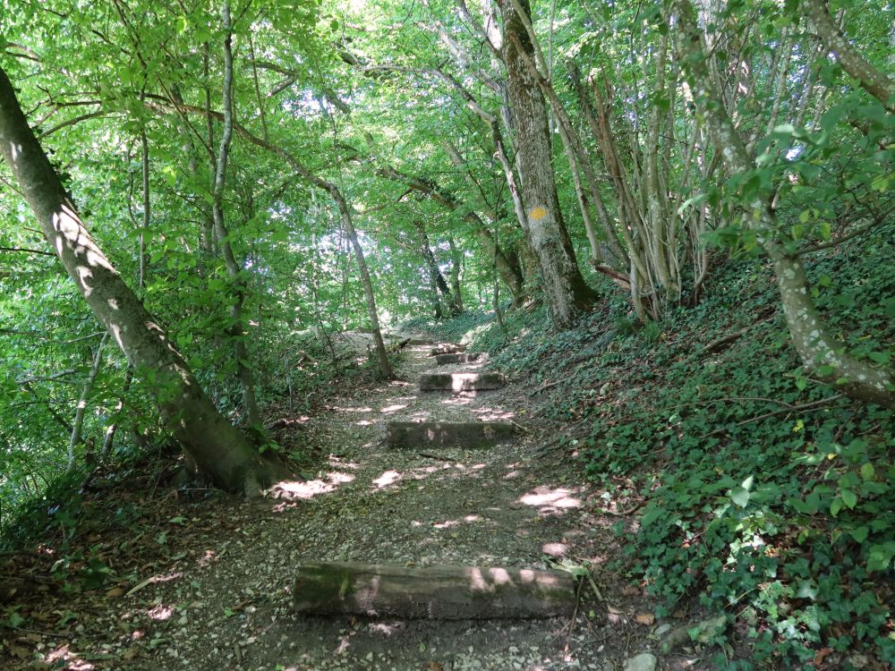 Treppe