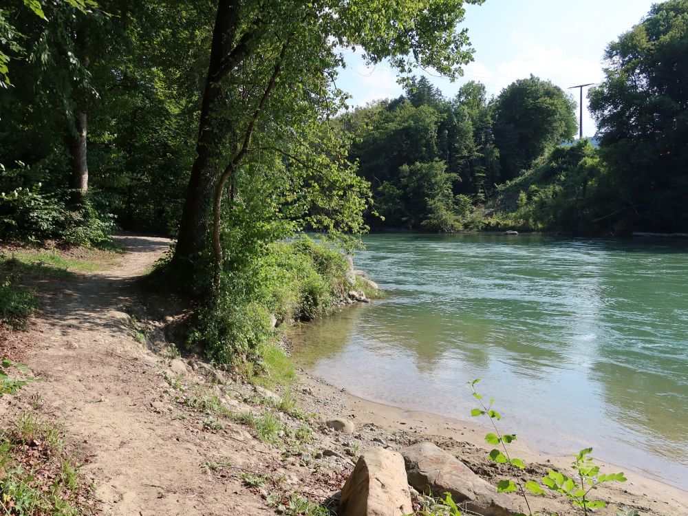 Pfad am Reussufer