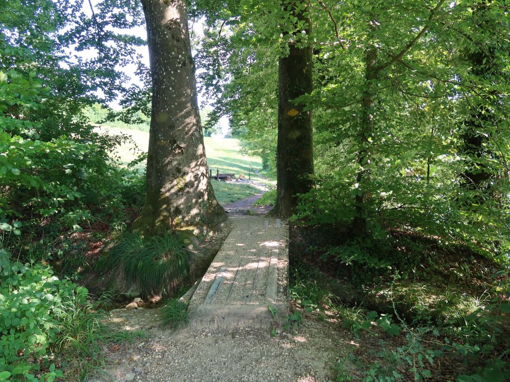 Holzsteg