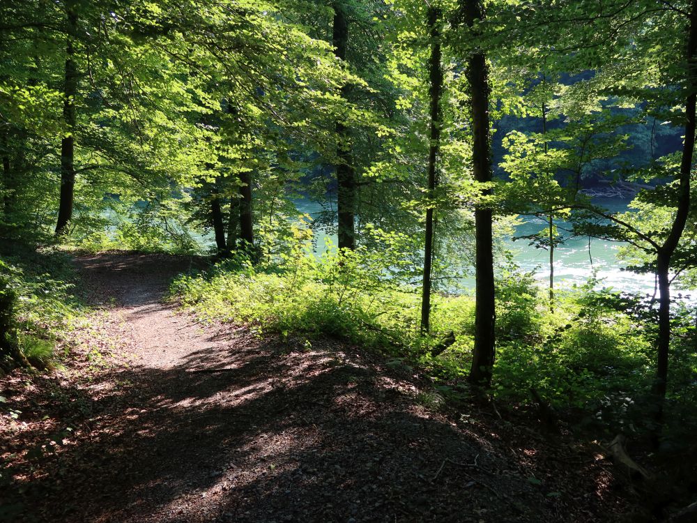 Pfad am Reussufer