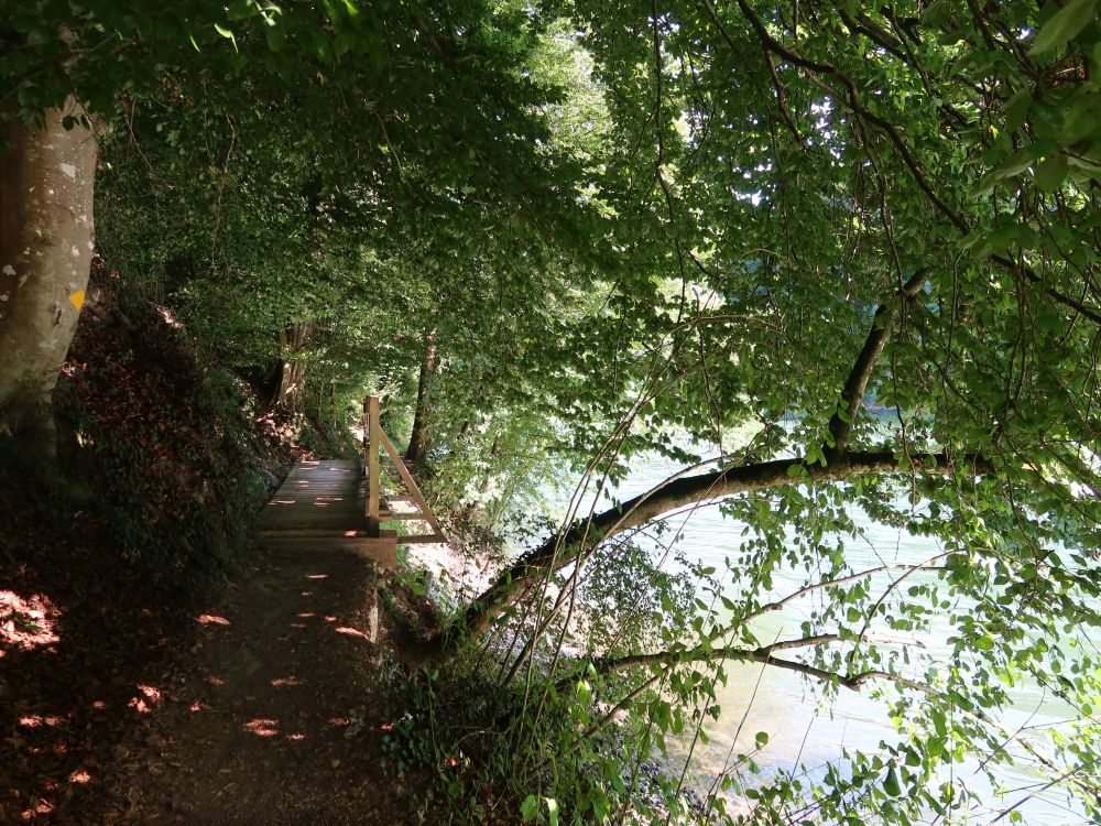 Holzsteg am Reussufer