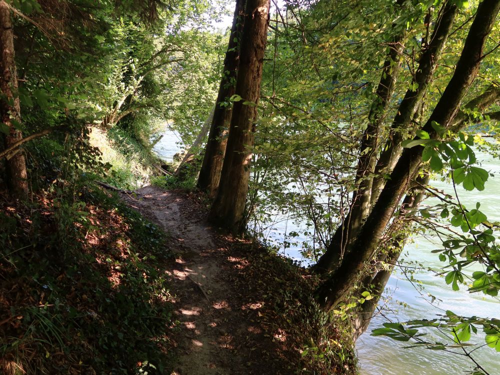 Pfad am Reussufer