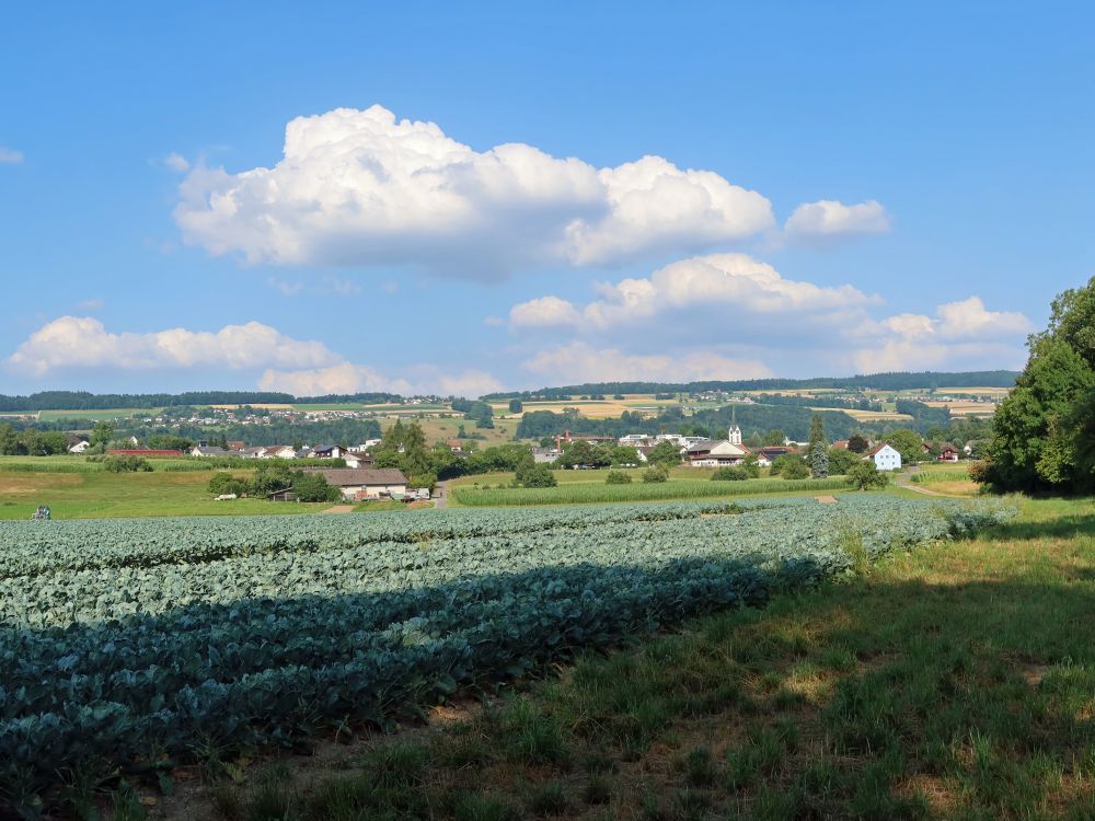 Blick Richtung Stetten