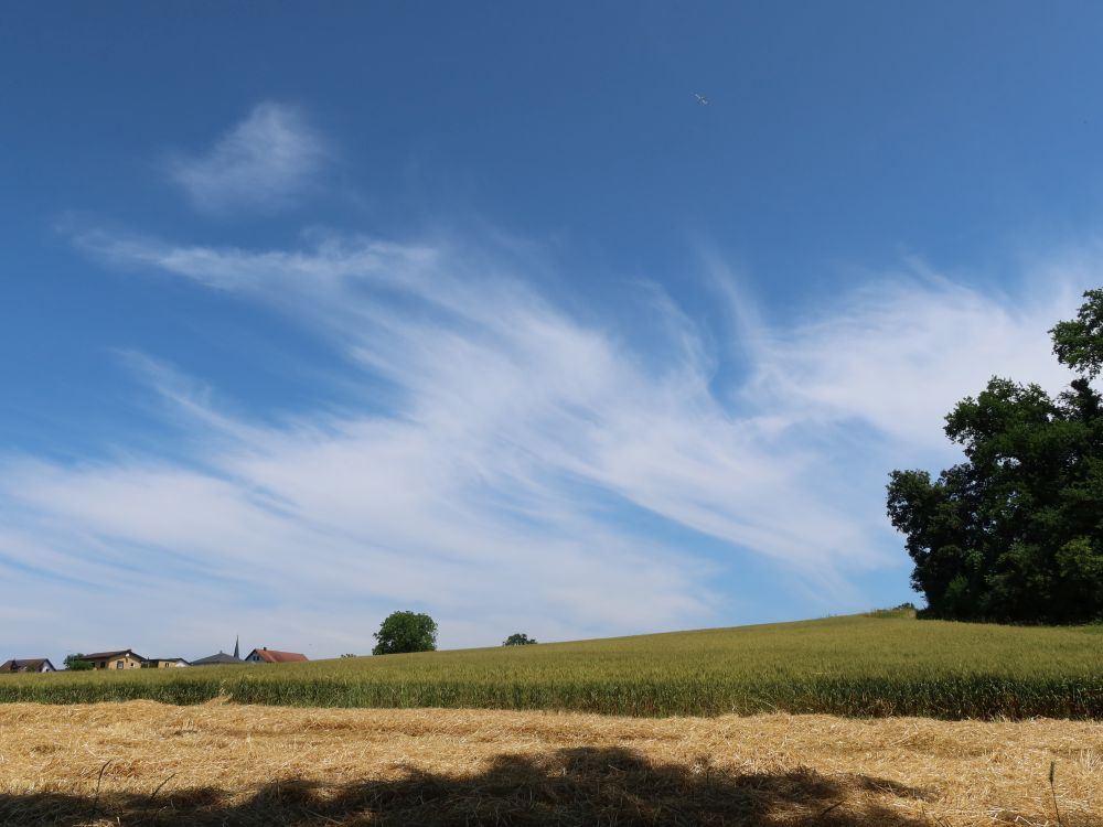 Wolken