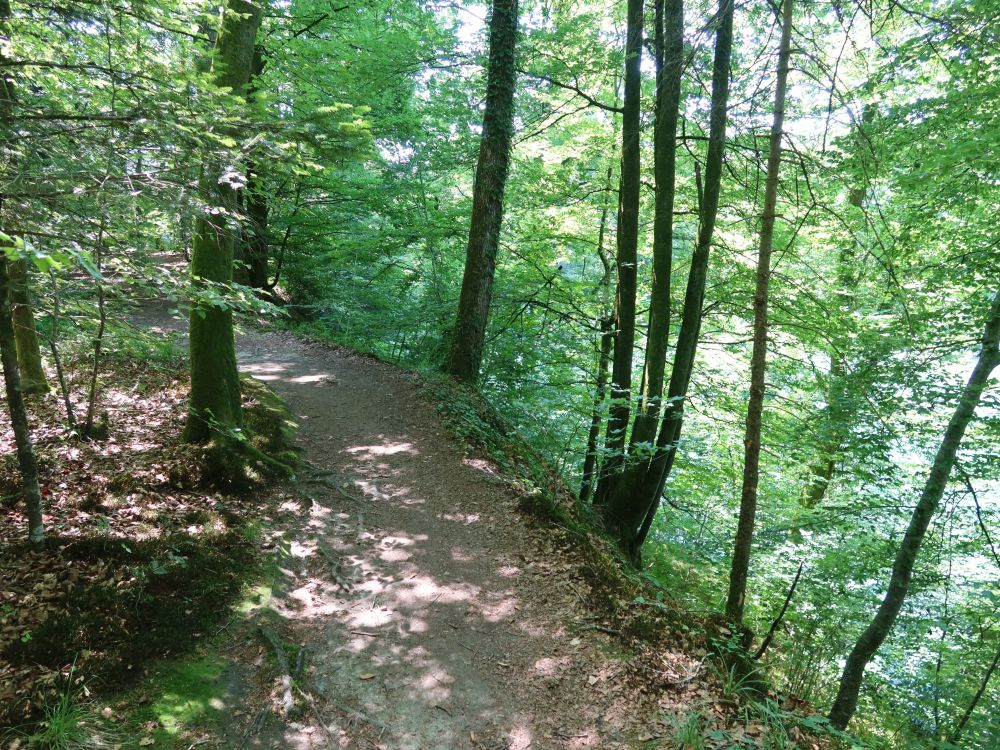 Weg am Reussufer