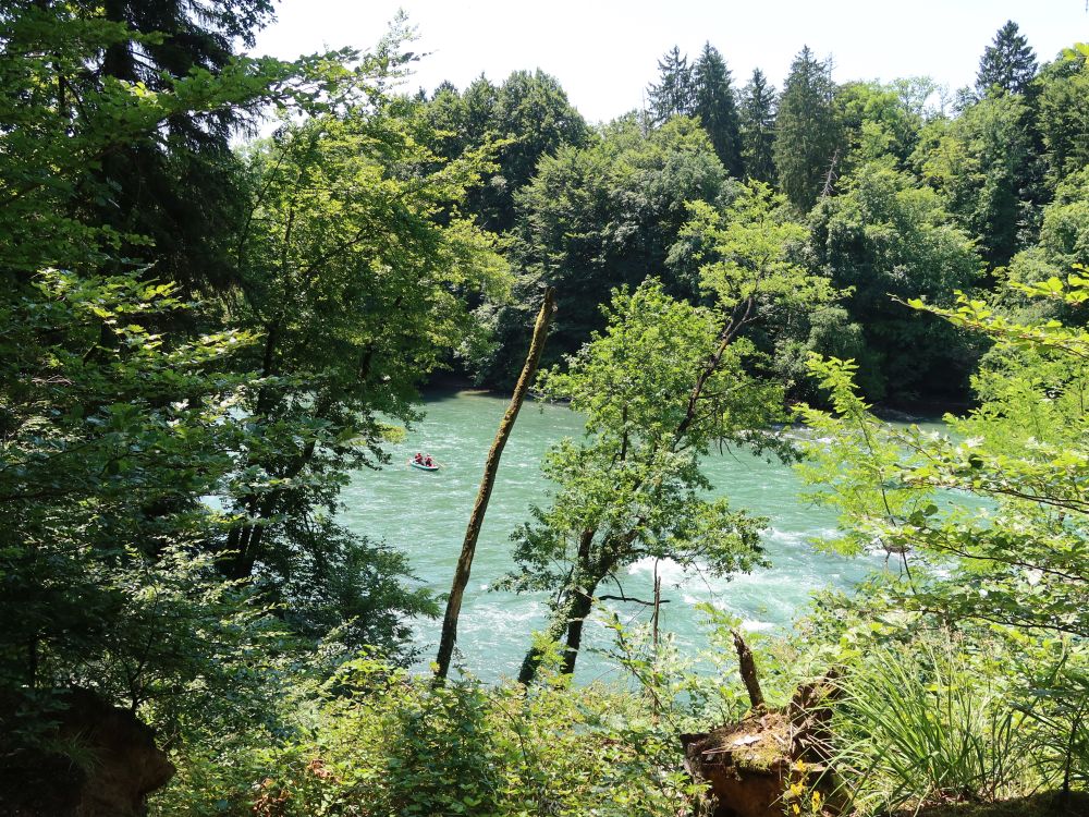 Paddler auf der Reuss