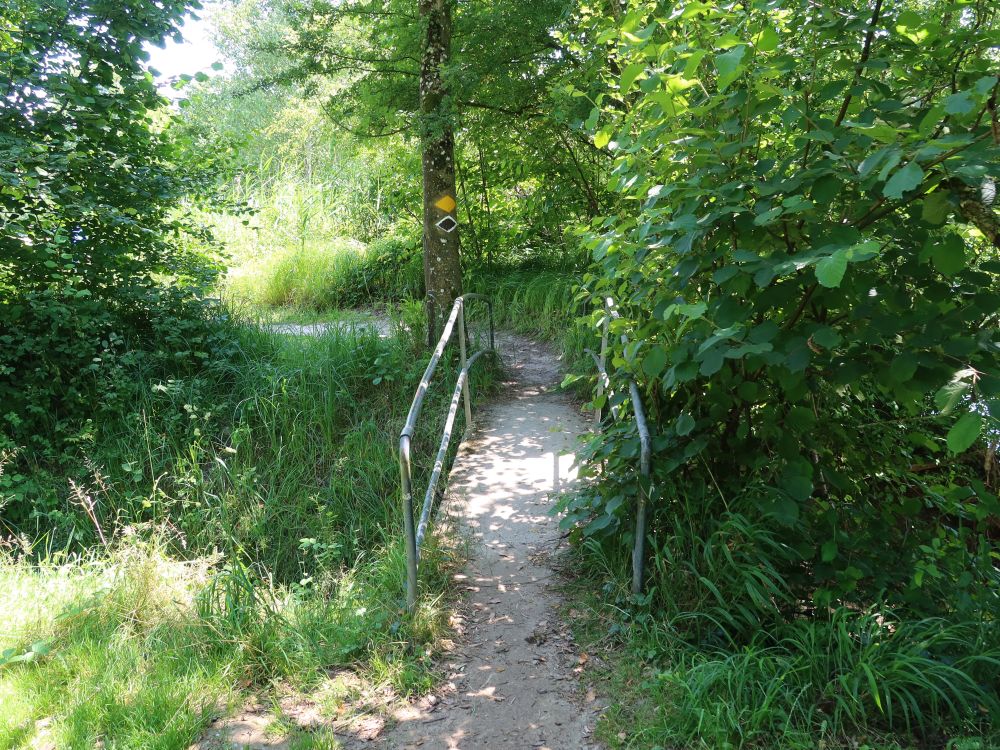 Steg bei Chapperematt