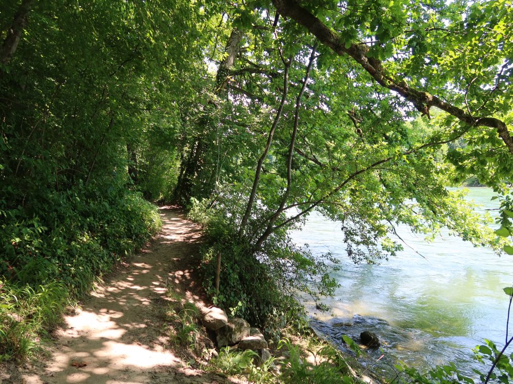 Pfad an der Reuss