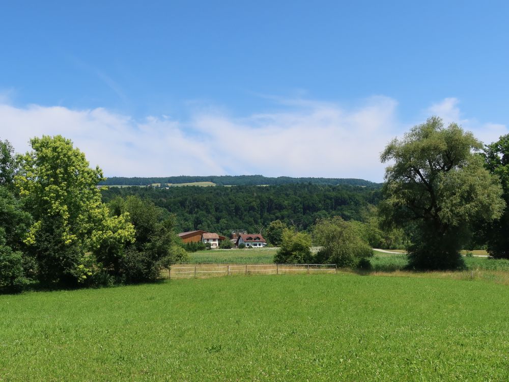 Blick zum Rohrhof
