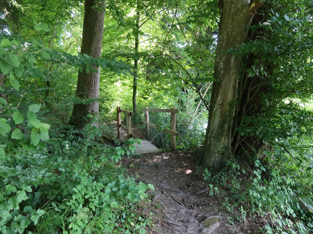 Steg bei Holenau