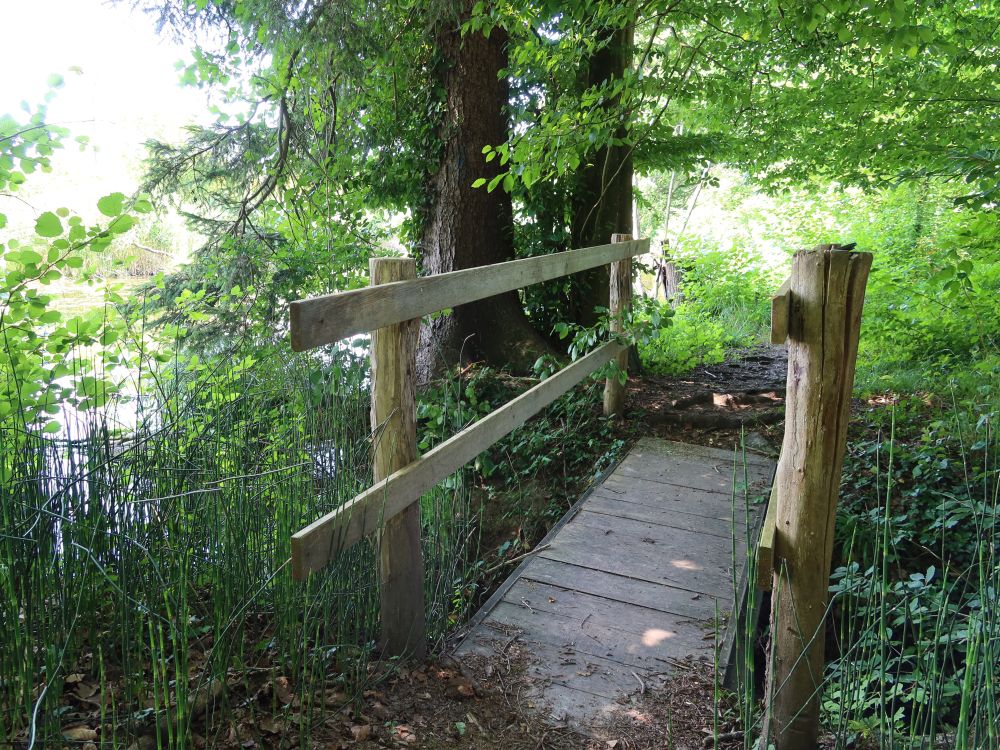 Steg bei Holenau