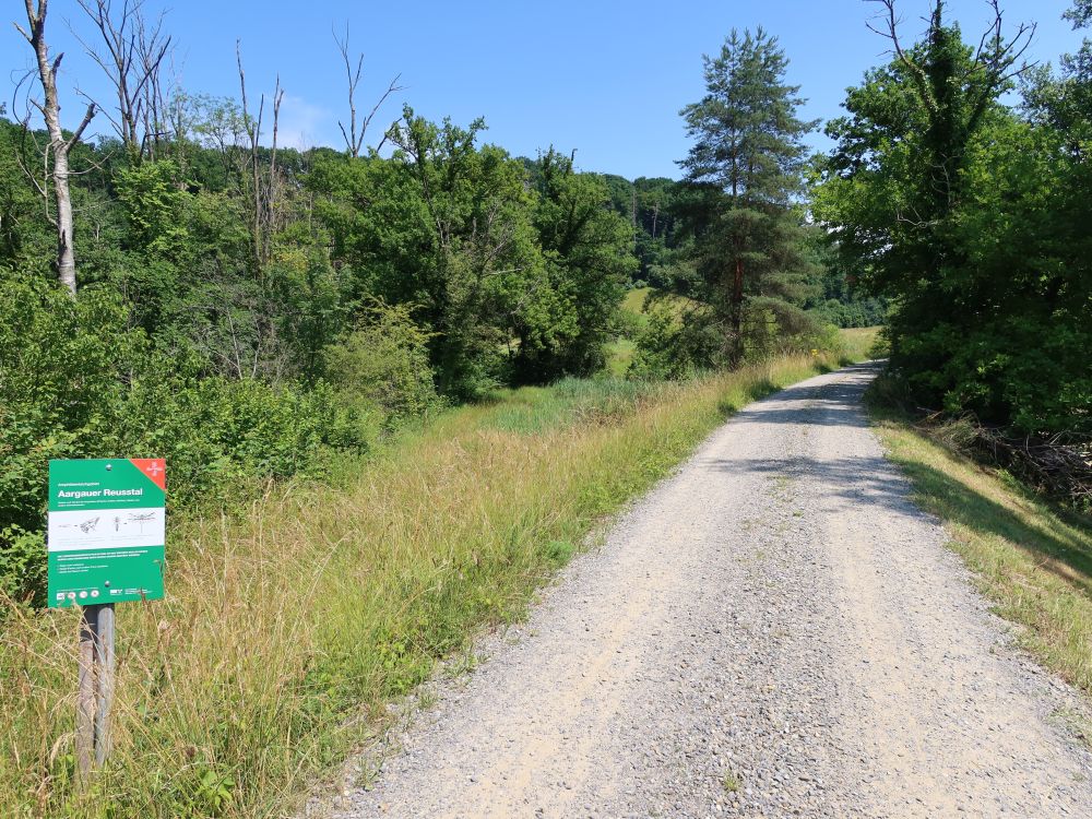 Weg an der Reuss