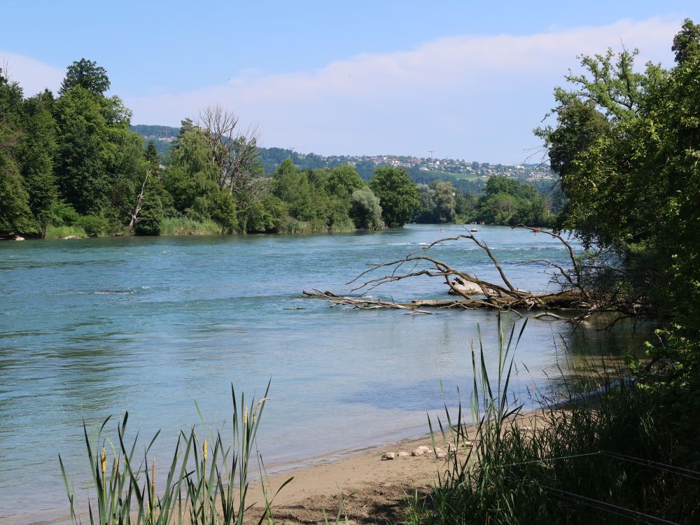 Reuss