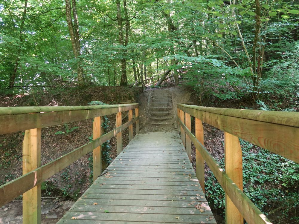 Treppe und Steg