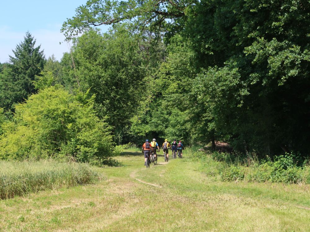 Radfahrer