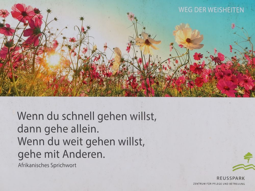 Sprichwort am Weg der Weisheiten