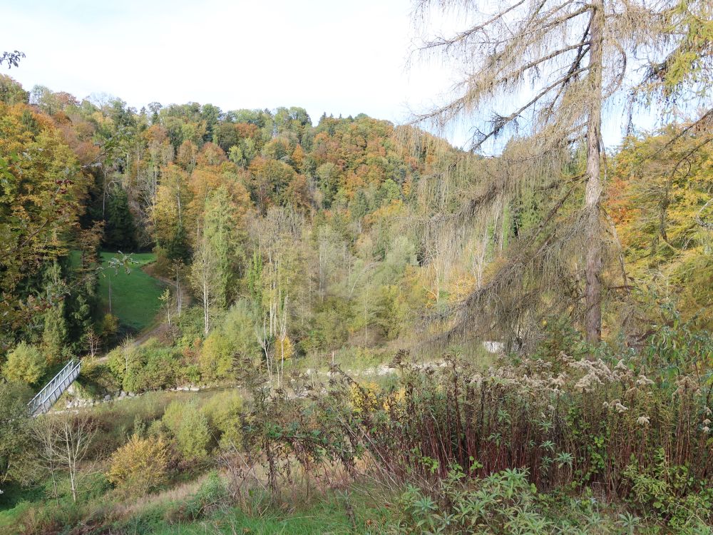 Blick zur Goldach bei Lochmühle