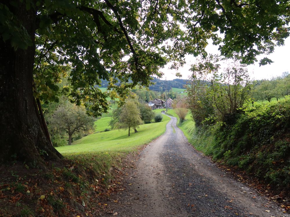 Weg nach Hammerhaus