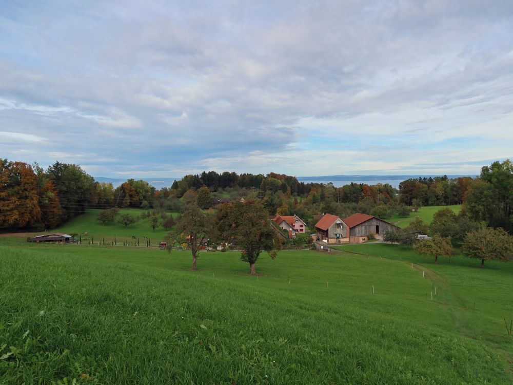 Blick Richtung Hammerhaus