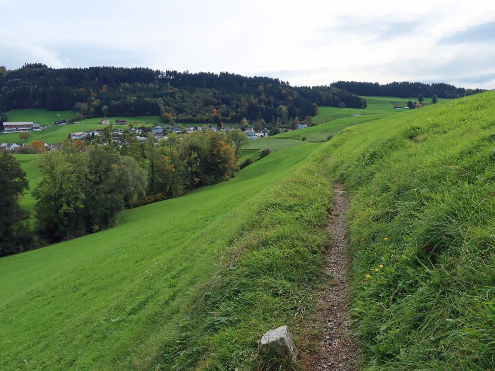 Blick Richtung Untereggen Mittelhof