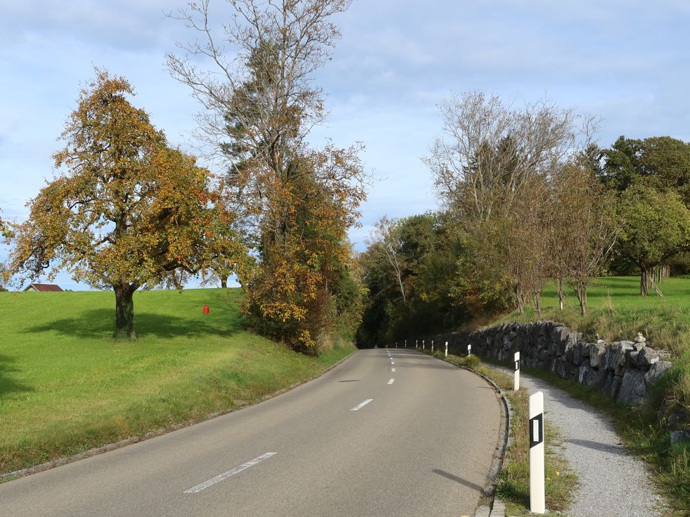 Wanderweg an der Goldacherstrasse