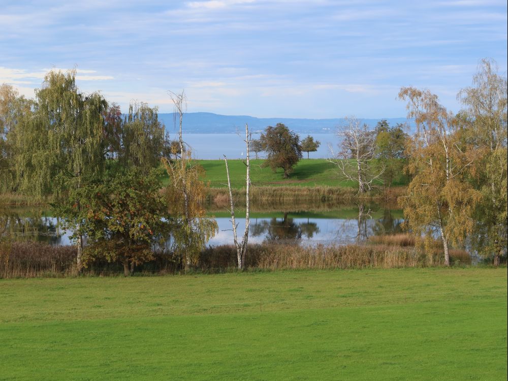 Schlossweier und Bodensee