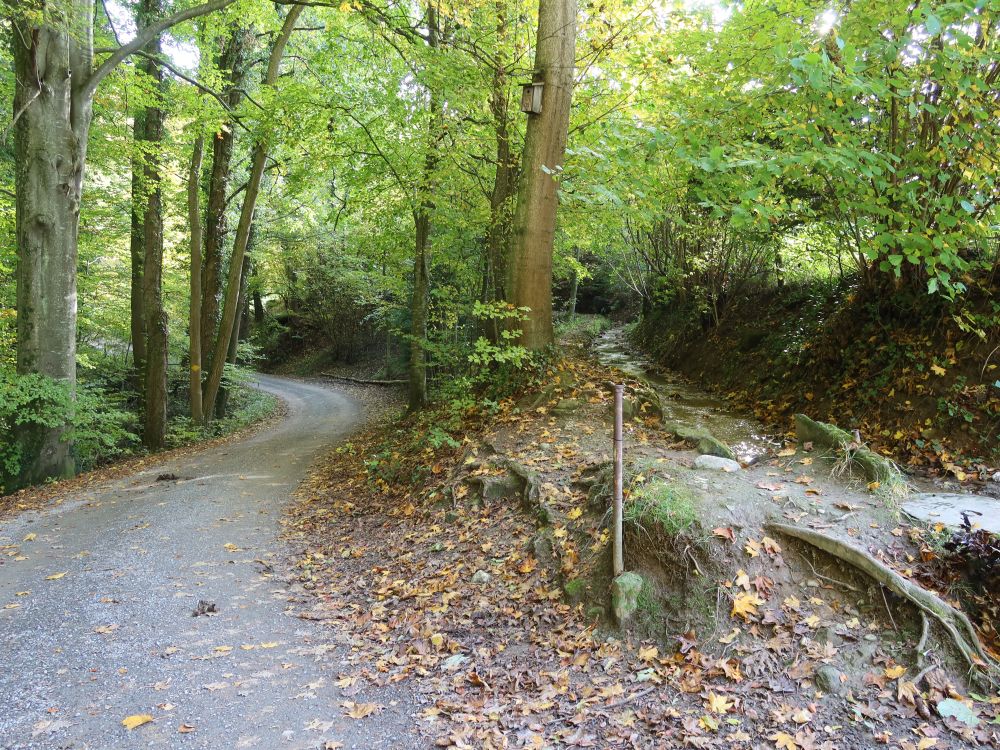 Weg am Bettlerenbach